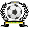 https://img.hebeitaisheng.com/img/football/team/6dc6d59af2f0962597b412473a6708ee.png