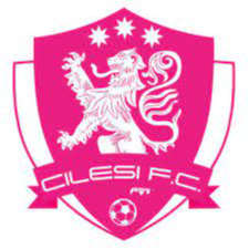 https://img.hebeitaisheng.com/img/football/team/7aa0eae9d284e6aab302a00cb5107481.png