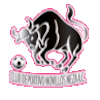 https://img.hebeitaisheng.com/img/football/team/97c3ef30cac48cadff97605e387feefa.png