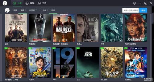 免费国产XX视频在线观看下载,免费视频在线观看与下载攻略